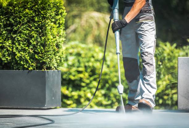 Best Gutter Cleaning  in Oregon, IL